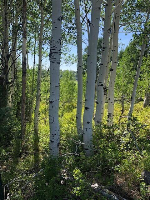 2 Aspen some lots