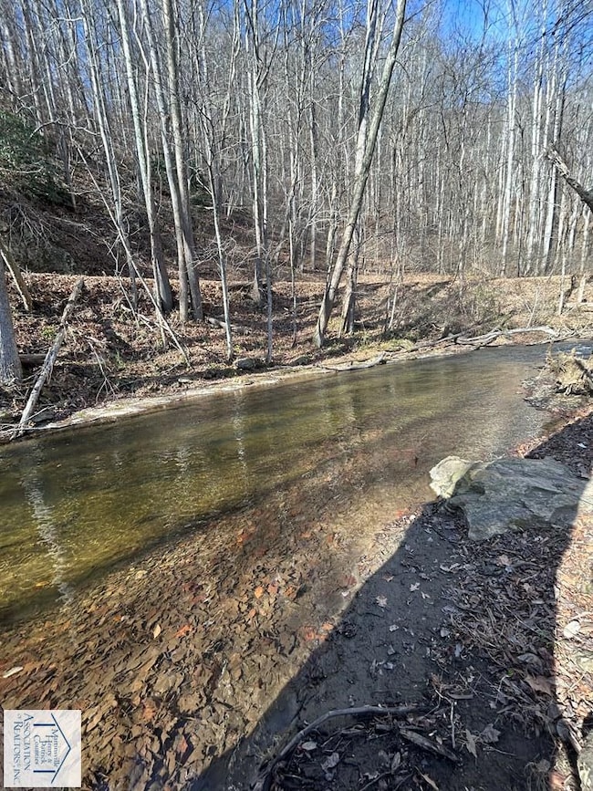 00 Kibler Valley Rd, Ararat, VA 24053 - photo 4