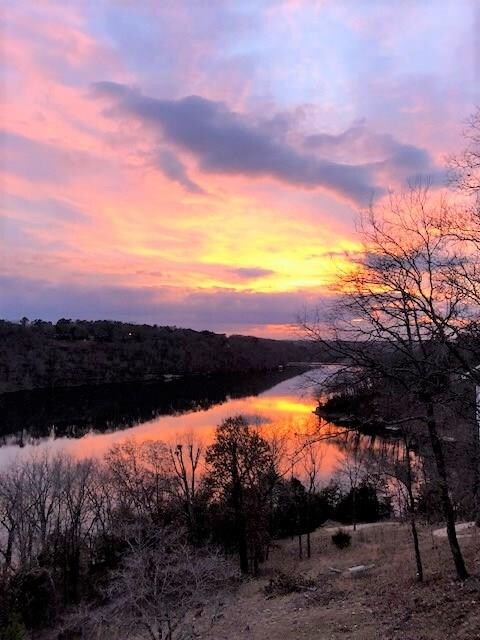 7 Dewsbury Cir, Bella Vista, AR 72714 - photo 5