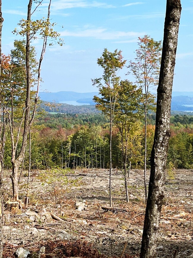 842 Gibbs Rd, Newport, VT 05857 - photo 5