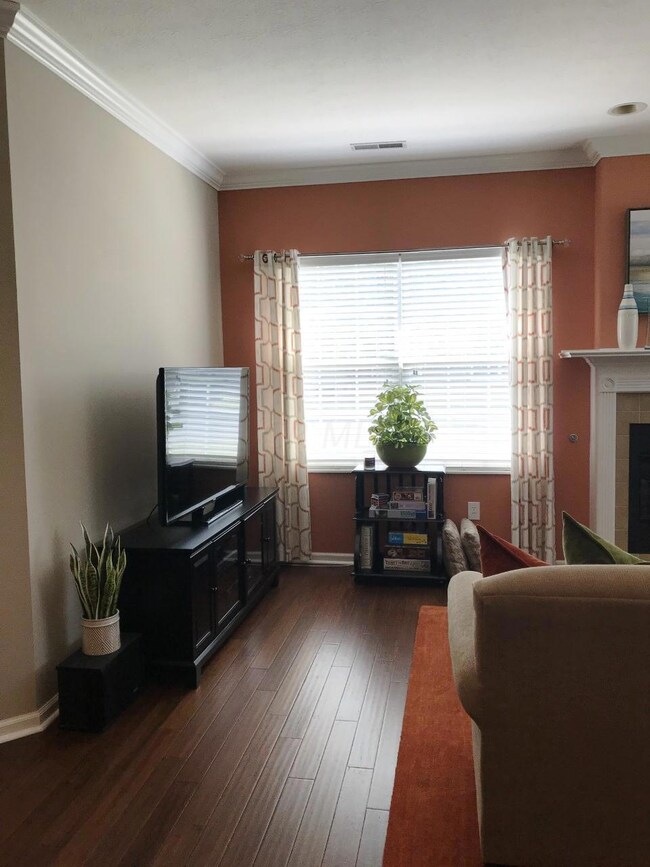 Amply Space for Entertainment Center