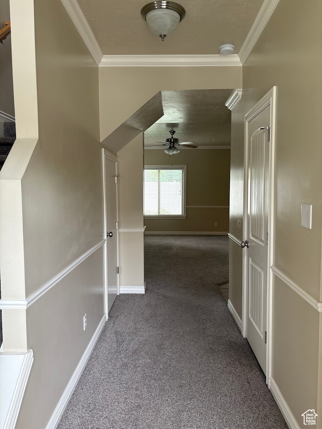 6779 S Sienna Park Ln, Midvale, UT 84047 - photo 3