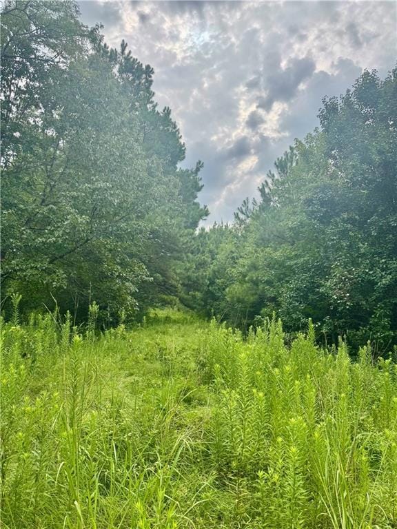 tbd Route 6, Natchitoches, LA 71457 - photo 6