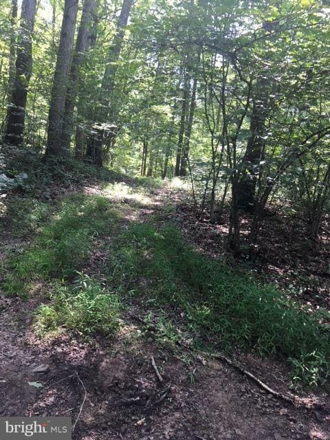 49 Tinderbox Ln, Winchester, VA 22603 - photo 4