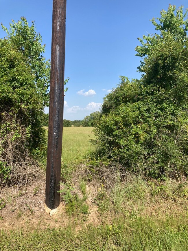 0 Becker Rd, Hockley, TX 77447 - photo 5