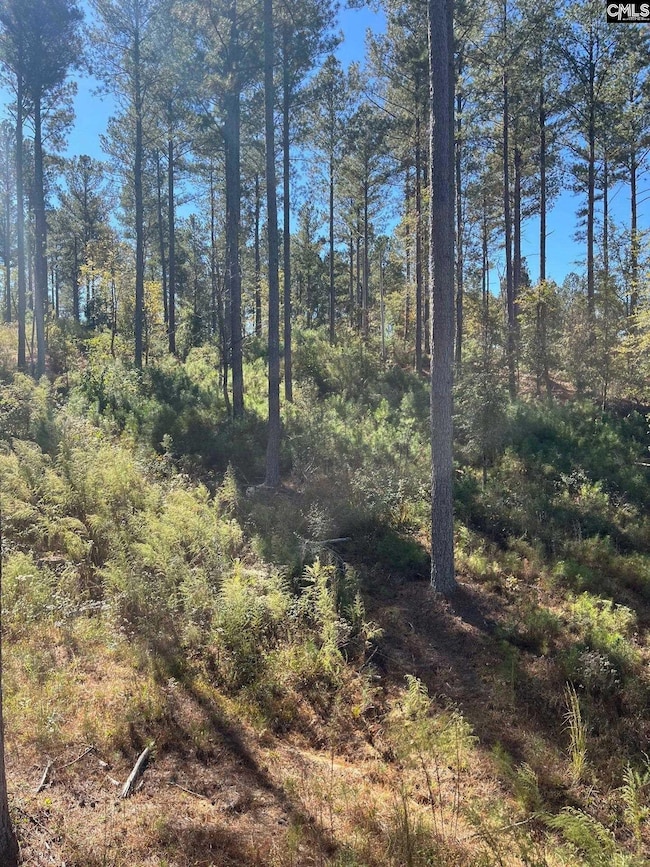 DRF 5 Dawkins Rd unit DRF 5, Pacolet, SC 29372 - photo 5