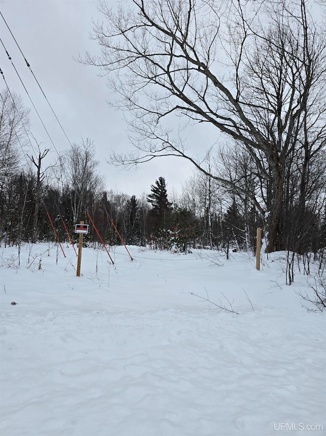 TBD Electric Park Rd, Calumet, MI 49913 - photo 2