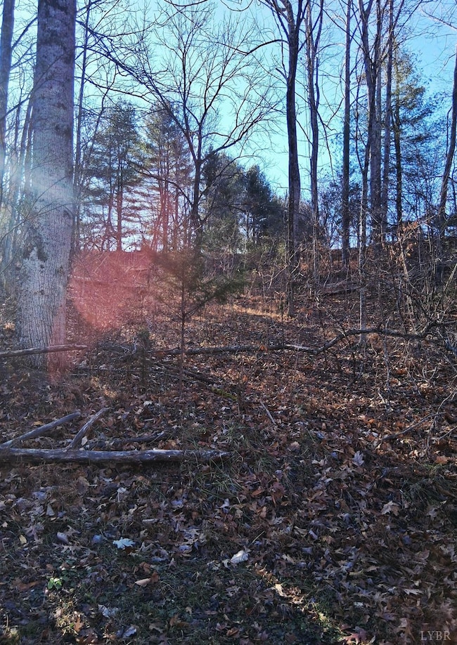 0 Peters Creek Rd unit 363400, Big Island, VA 24526 - photo 5