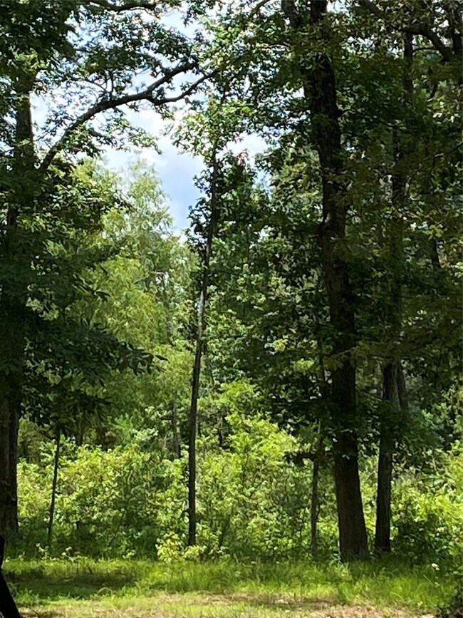 View of nature