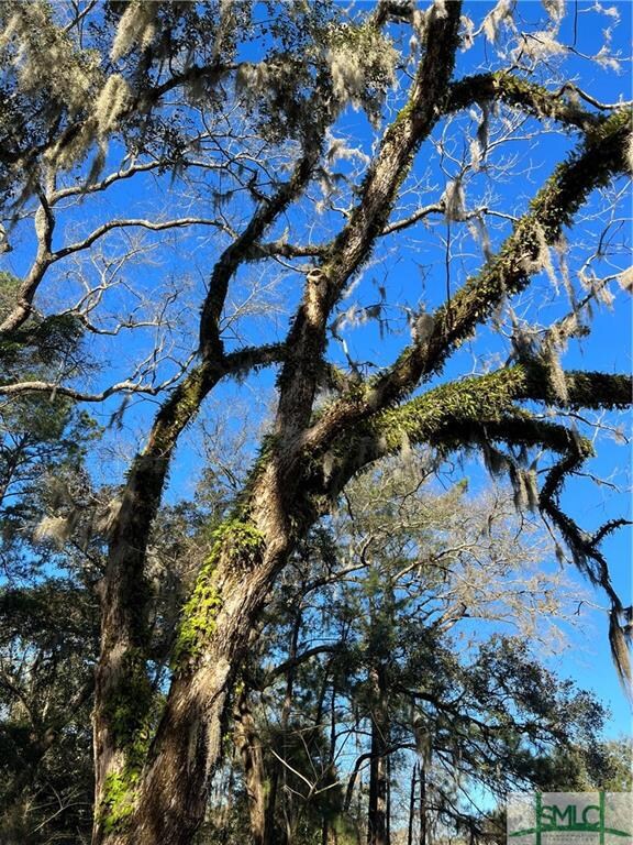 0 Pittman Dr, Rincon, GA 31326 - photo 6