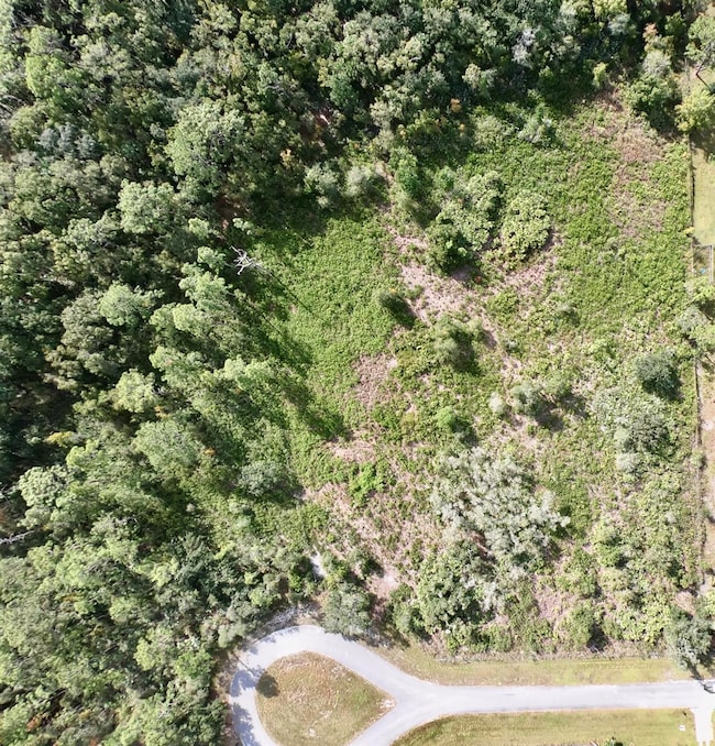 39603 NW 19th Ave, Okeechobee, FL 34972 - photo 3