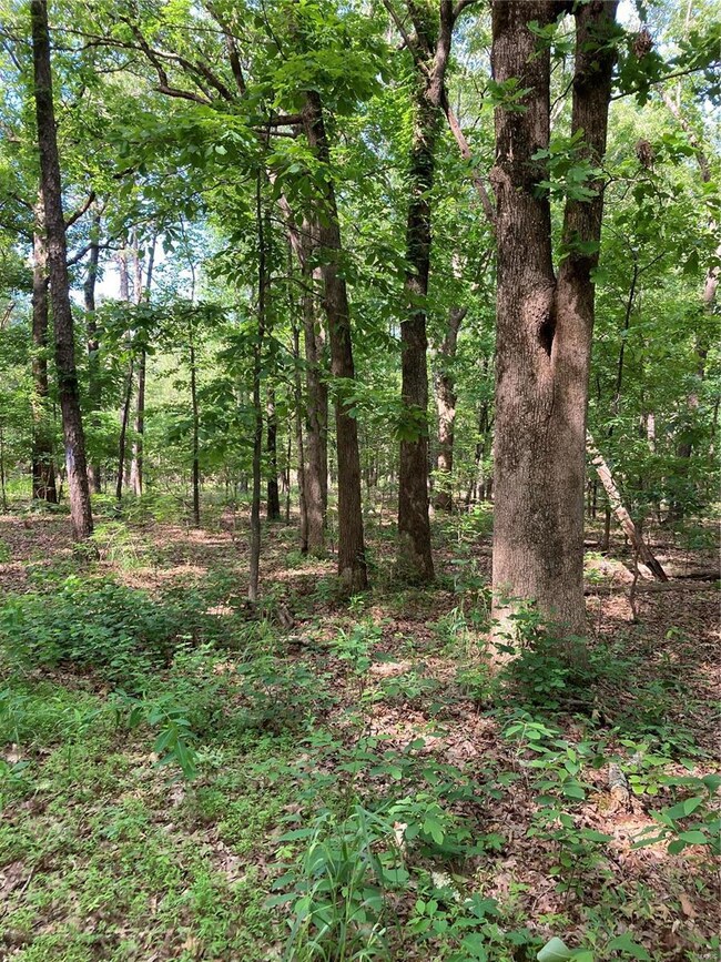 0 Cr 436 unit 22034573, Poplar Bluff, MO 63901 - photo 2