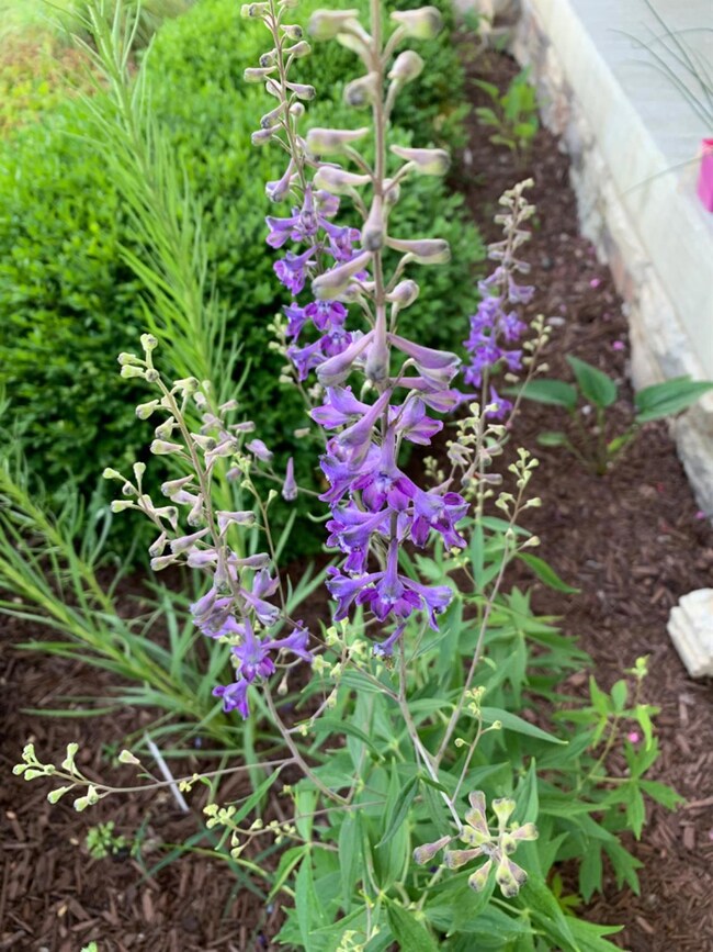 12815 Baker Ct, Crown Point, IN 46307 - photo 7