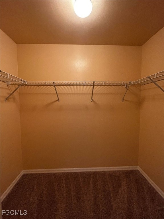 Spacious closet with dark carpet