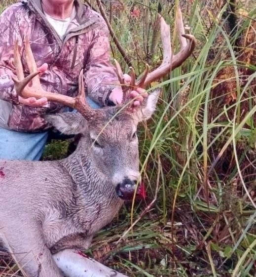 2222 101st Ave, Otsego, MI 49078 - photo 2