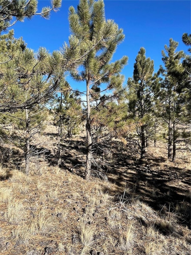 00 Oak St, Hartsel, CO 80449 - photo 3