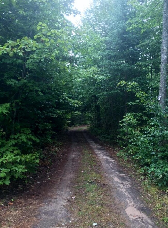 10 Acres - Tahquamenon Woods