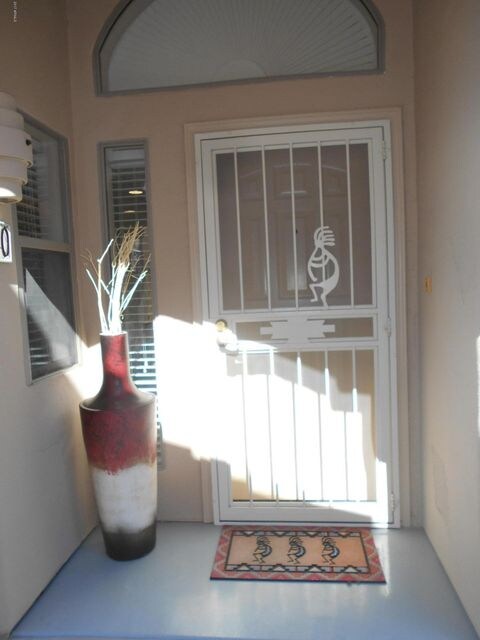 SECURITY DOOR