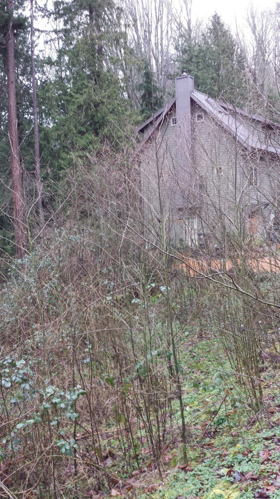 1228 Mukilteo Speedway, Mukilteo, WA 98275 - photo 2