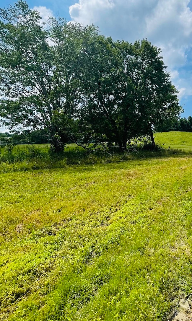 99 Meadowstone Way unit Tracts 12-17, Corbin, KY 40701 - photo 7