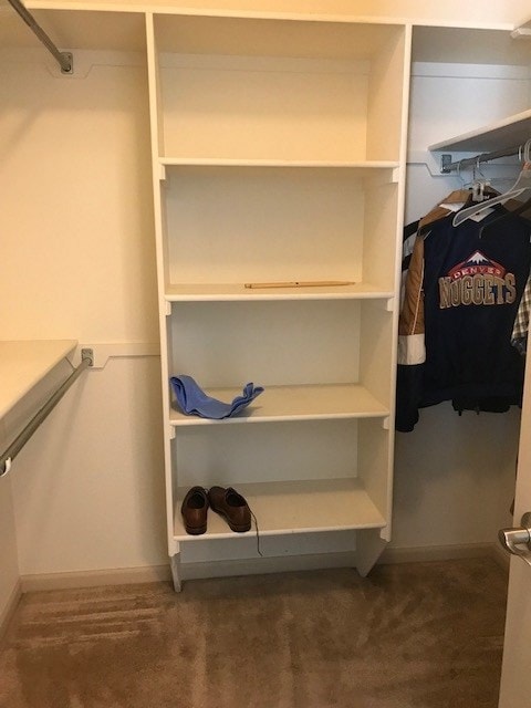 686 Polk Ct, Grand Junction, CO 81505 - photo 7