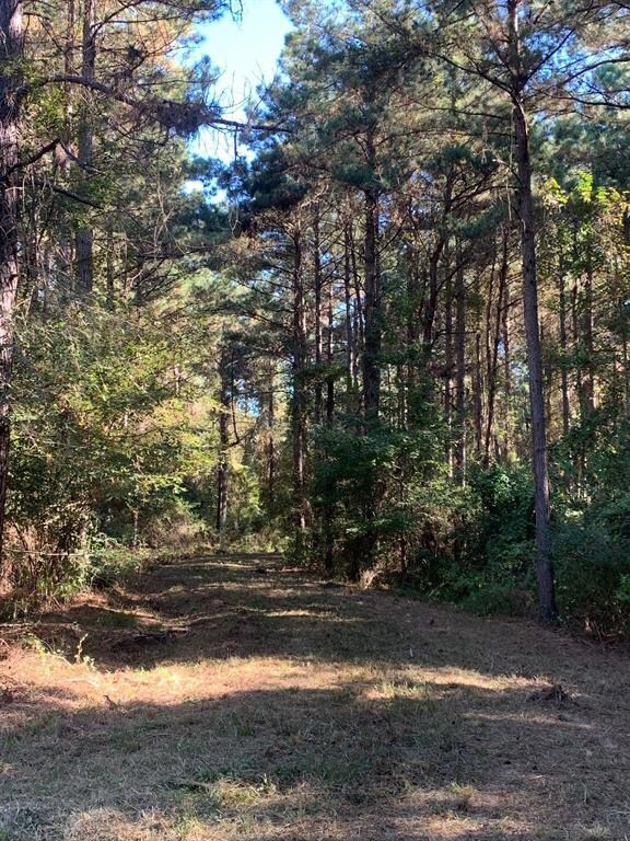 TBD Farm To Market Road 698, Nacogdoches, TX 75964 - photo 2