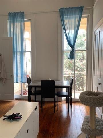 Front room windows overlooking Magazine Street