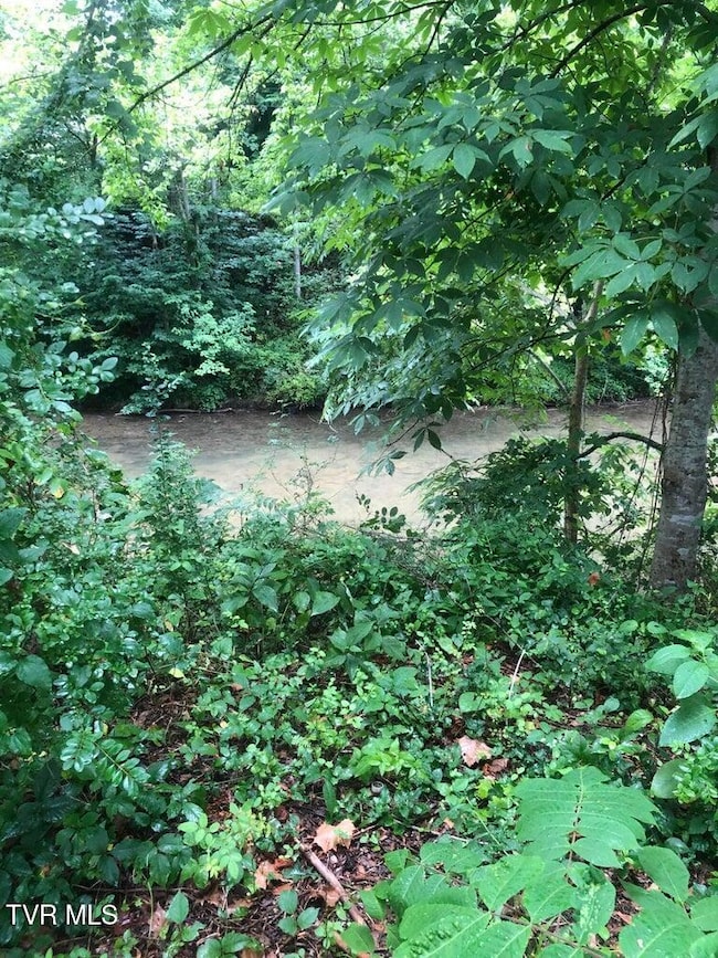 Tbd Hamblen St S, Big Stone Gap, VA 24219 - photo 5