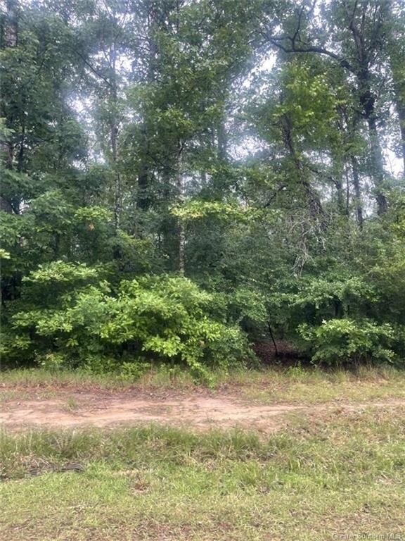 0 Ernest Dr unit SWL23002876, Ragley, LA 70657 - photo 3