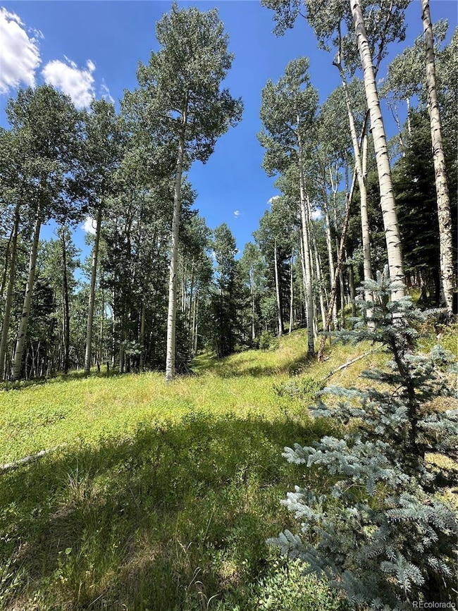 Lots 7-12 Calkins St, Jasper, CO 81132 - photo 2