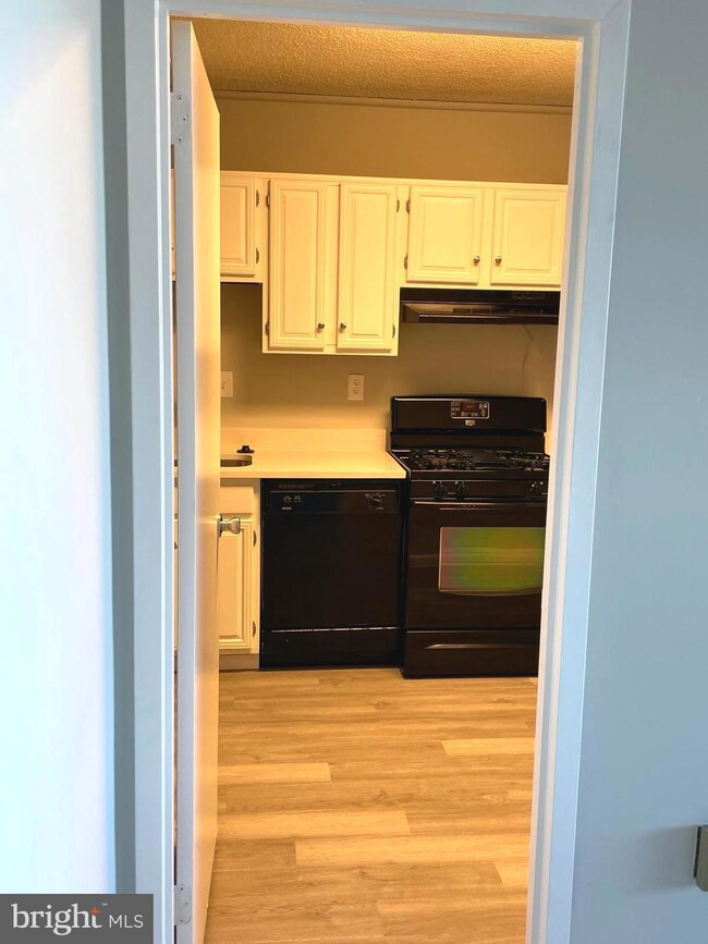 Skyline Plaza unit 1008N, Baileys Crossroads, VA 22041 - photo 7