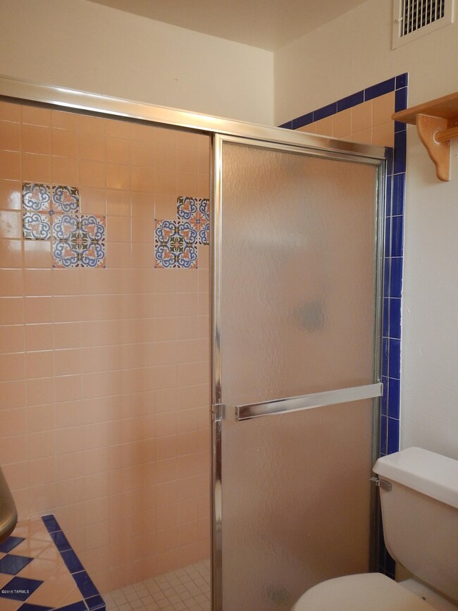 Master Bath Shower