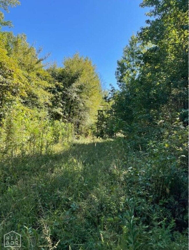 1234 Greene 756 Rd, Jonesboro, AR 72405 - photo 3