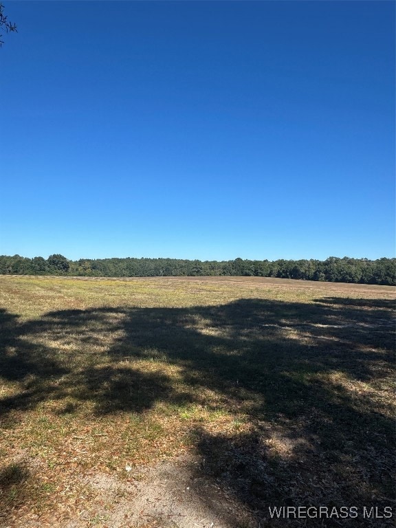 429 E Skyline Ave, Geneva, AL 36340 - photo 3