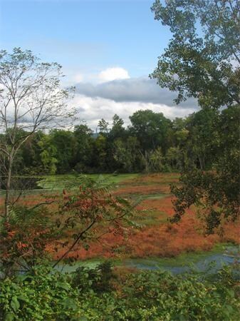 0 Cronin Hill Rd unit 71705290, Hatfield, MA 01038 - photo 3