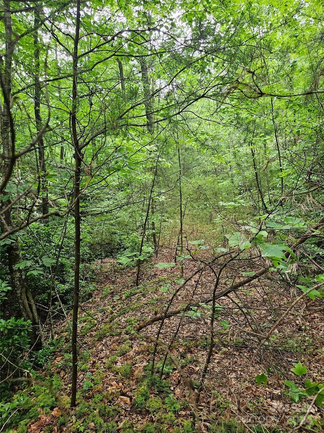 00 Brookside Pkwy unit 24, Lake Lure, NC 28746 - photo 2