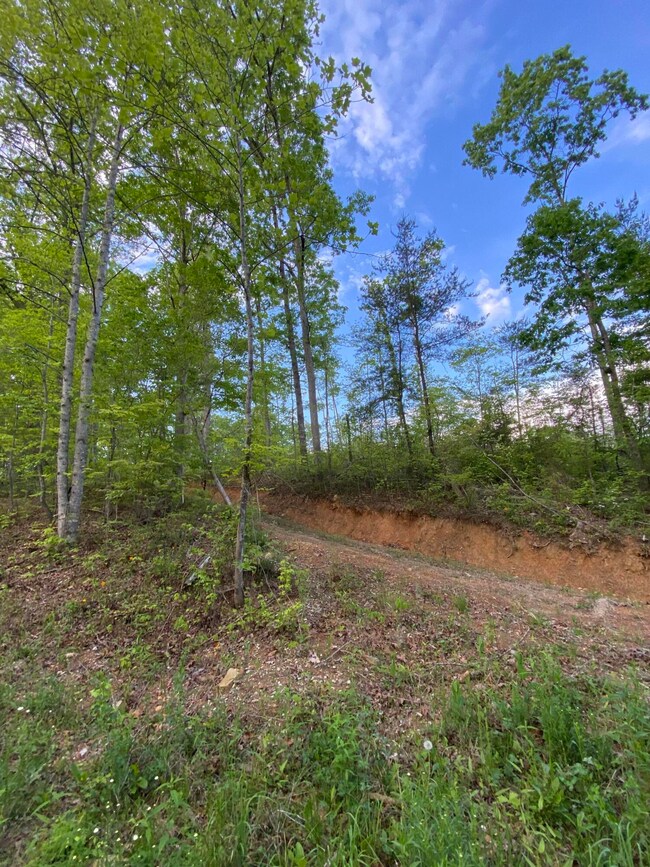 420 Mounce Rd, Somerset, KY 42501 - photo 5