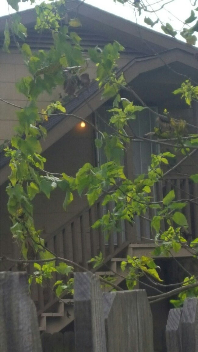 9315 Kelburn Dr, Houston, TX 77016 - photo 6