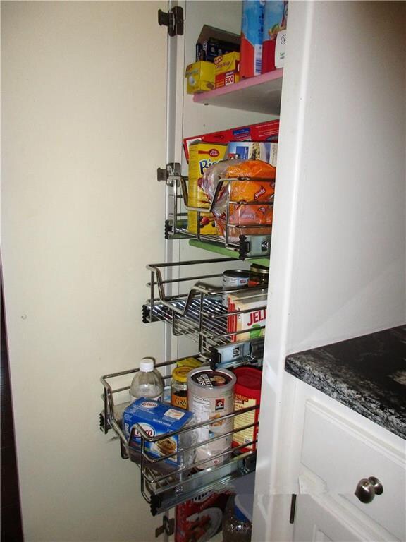 Pantry with Rollouts