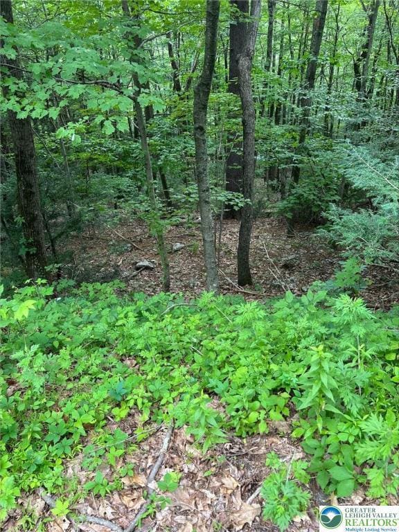 0 Faber Cir unit 40,41,42,43 759242, Tannersville, PA 18372 - photo 4