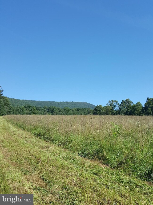 0 Dellinger Gap Rd unit 1002764866, Edinburg, VA 22824 - photo 2