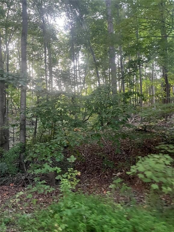 00 Cannon Heights Dr, Asheboro, NC 27205 - photo 4