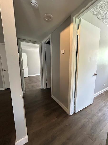 Corridor featuring dark wood-style floors and bas