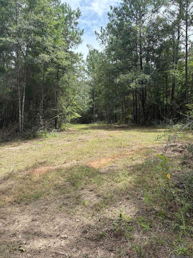 83234 Isabel Swamp Rd, Bush, LA 70431 - photo 4