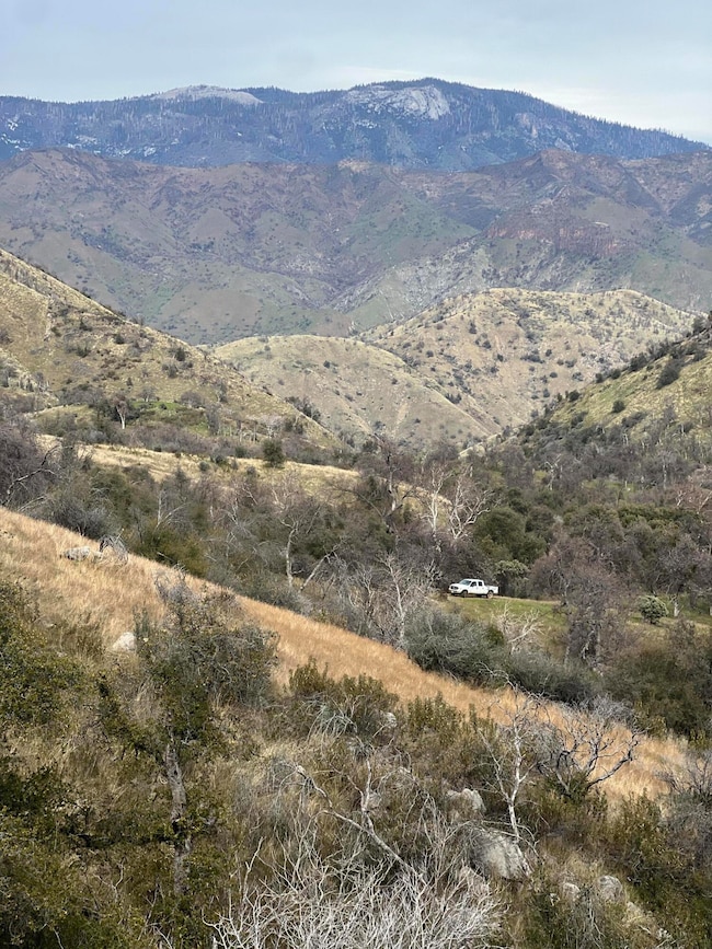 Goldmine 20 ac-7