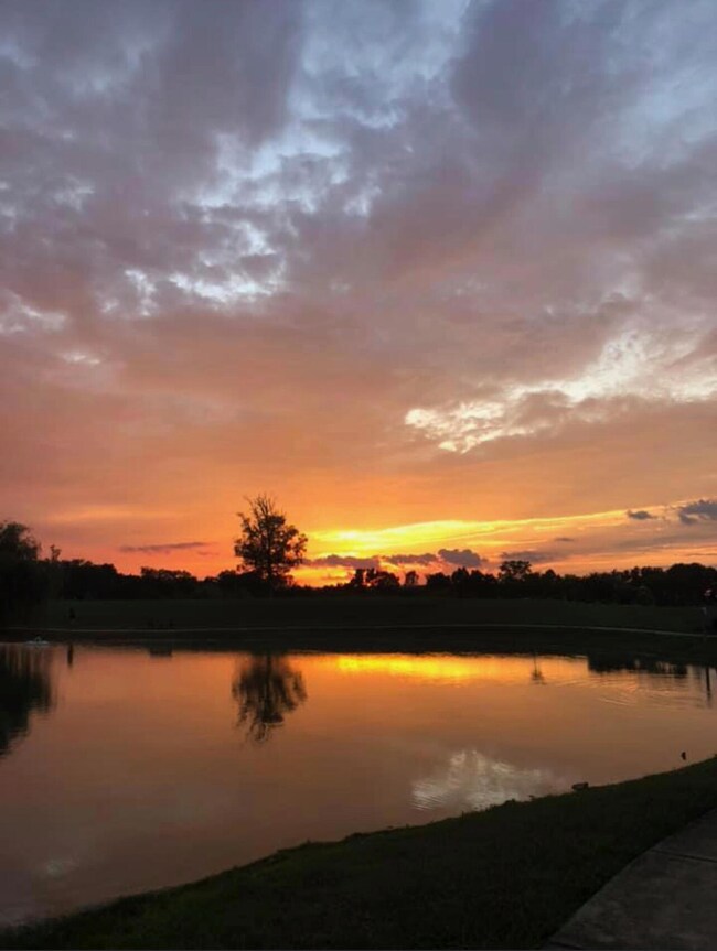 Sunset View