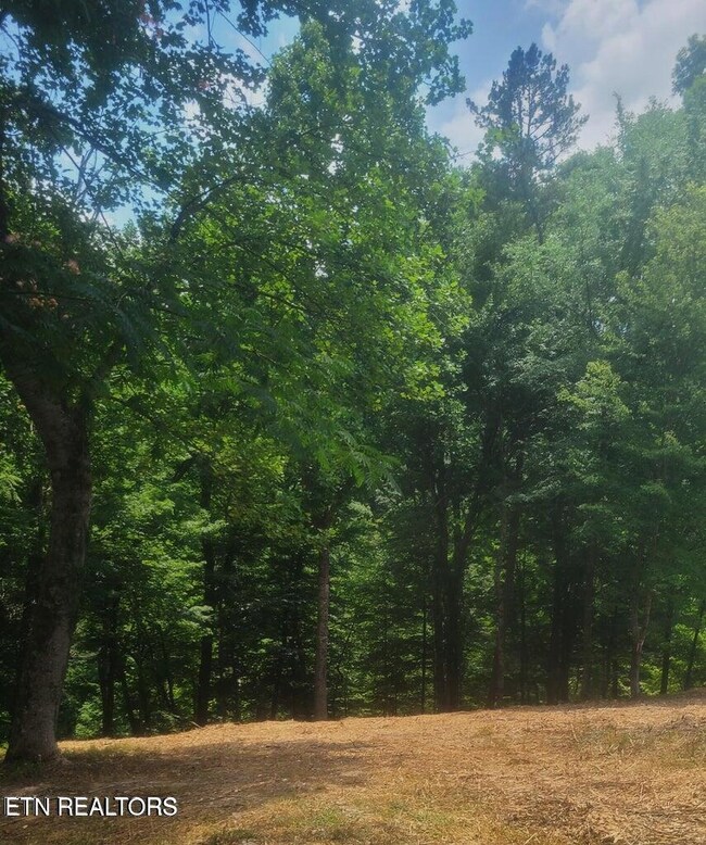 Claiborne Rd Lot117A near street