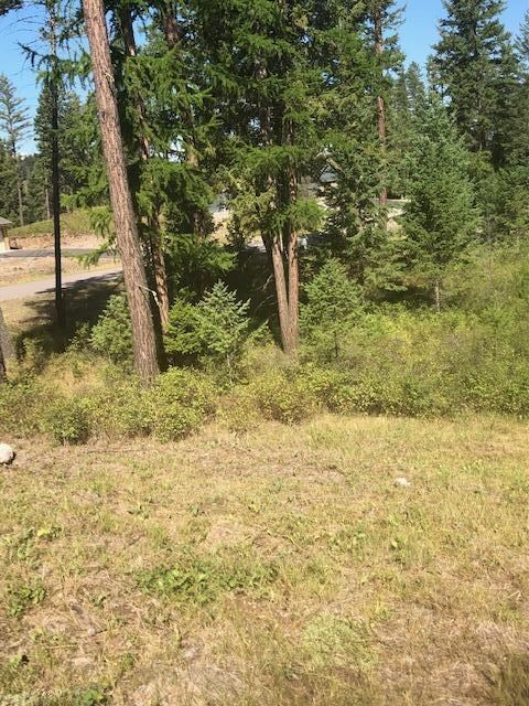 Treed lot