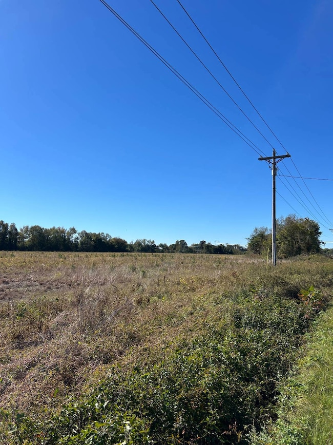 004 Old Wire Rd W, Wallace, SC 29596 - photo 6