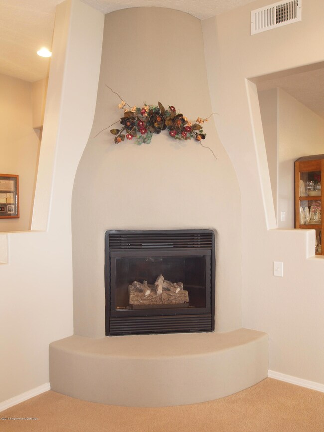 198 Road 3950, Farmington, NM 87401 - photo 6